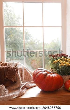 autumn cozy home, window with pumpkins, flowers and scarf
