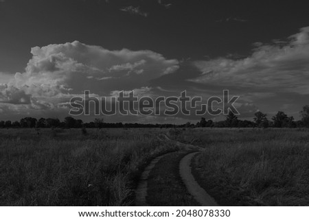 road through the meadow black and white