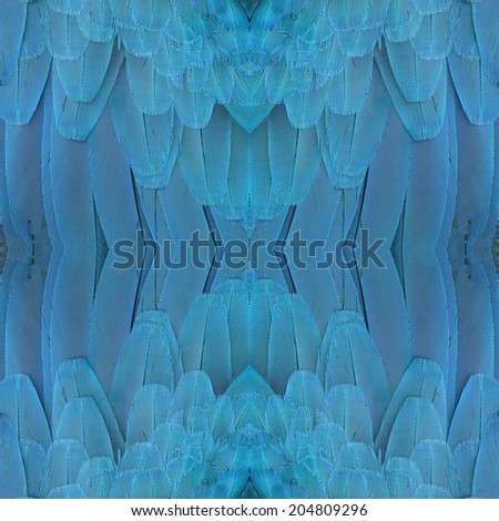 Beautiful colorful pattern background texture made from Scarlet Macaw feathers.