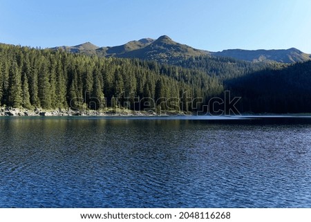 Evening on a wild forest lake in the alps