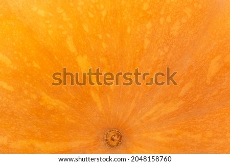 close up of bright orange bottom of ripe pumpkin background
