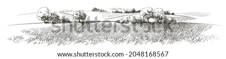 Green grass field on small hills. Meadow, alkali, lye, grassland, pommel, lea, pasturage,  farm. Rural scenery landscape panorama of countryside pastures. Vector sketch illustration Royalty-Free Stock Photo #2048168567