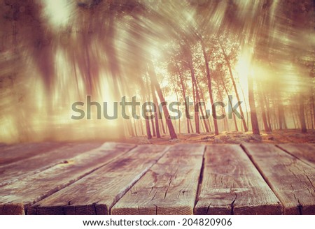 wood boards and summer light among trees. textured image. filtered. 