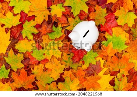 Coin piggy bank on fall leaves. Top view. 