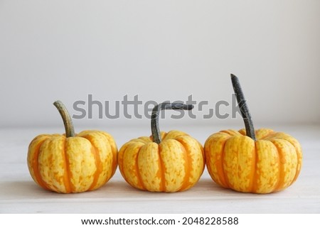 Close up shot of three decorative pumpkins on wood textured background as a symbol of autumnal holidays with a lot of copy space for text.