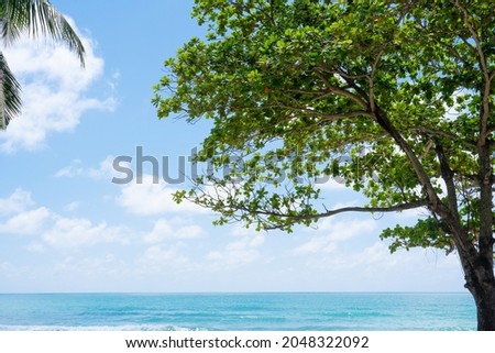 Beautiful Photo frames tree to blue sky island.Amazing coconut trees on sun light and clouds background. famous green trees in summer. Pattern trees leaf on sunset silhouette.Graphic banner template. 