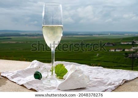Glass of white brut blanc de blancs champagne wine and examples of vineyard soils, white chalk stone, view on grand cru vineyards of Cote des Blancs near Avize, Champagne, France