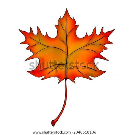 Autumn Maple Leaf. Bright fall sycamore leaf isolated on white background. Stock illustration