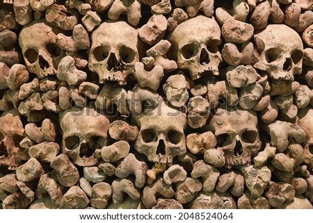 Wall made of human skulls and bones