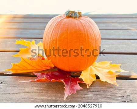 Pumpkin and autumn maple leaves on a wooden surface. Colorful autumn concept.