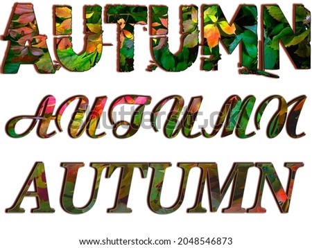 Beautiful bright autumn pattern of living leaves of different colors