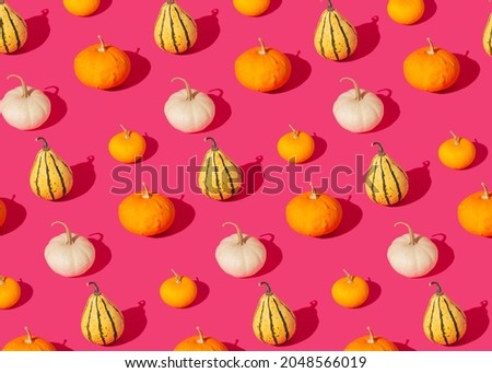 Halloween pattern - colorful pumpkins of different shapes on the pink background
