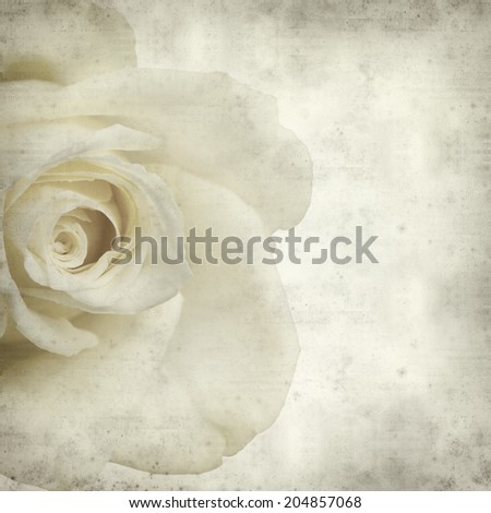 textured old paper background with pale yellow rose