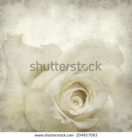textured old paper background with pale yellow rose