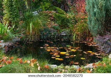 Small pond in the garden with yellow autumn leaves of water lilies and trees and various ornamental grasses and plants