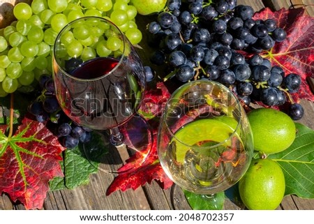 Symbol image of the grape harvest: Ripe grapes decorated with wine glasses on a wooden table