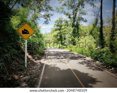 Yellow traffic signs and roads in a dense forest and close to each other in the countryside.