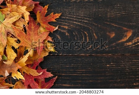 orange autumn fallen leaves on a dark, textured vintage rustic wooden background. View from above. Frame for text