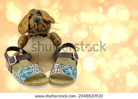 Closeup of a pair of girls sandals adorned with a blue flower are presented by a funny dog on bright abstract background. Business card shoe fashion children. Advertising childrens shoes.