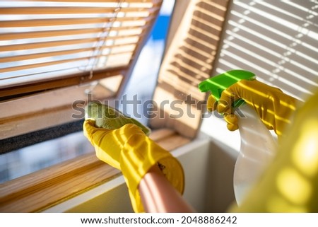 Professional cleaning of apartments and houses. Cleaning service in work clothes and rubber gloves washes the blinds. Wiping dust from a window Royalty-Free Stock Photo #2048886242