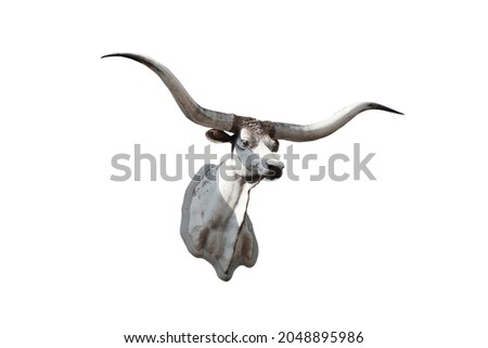 cow head sculpture isolated on the white background.