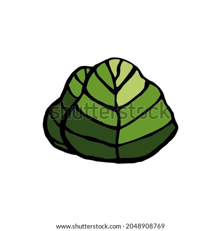 Vector bush isolated on a light background. Vector, cartoon, flat design. Hand-drawn. Doodle style.