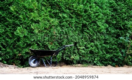 Black wheelbarrow in front of the green arbovitae hedge. Royalty-Free Stock Photo #2048959874