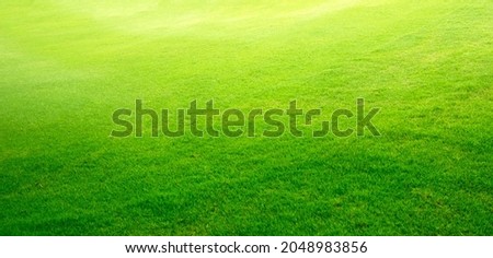 grass background Golf Courses green lawn pattern textured background.
