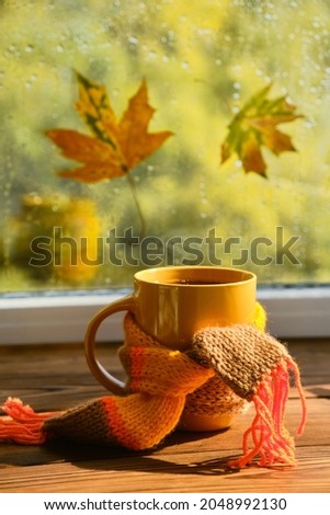 Yellow mug with scarf, bright leaves on the background of the window. A beautiful photo on an autumn theme. Close-up, side view. Concept of changing seasons