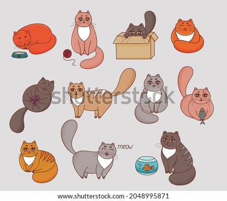 Set of cats. Cartoon fun cats collection. Funny kitten sleeping, playing, sitting on box, eating fish, relaxation. Different Adorable cats characters. Cute pets animal icons pack.  Happy domestic cats