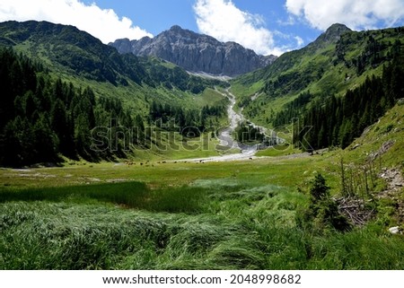 Upper part of the Obertilliachertall with alpine pastures located under the Cima Palombino on the Italian border with Austria Royalty-Free Stock Photo #2048998682