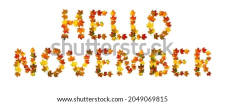 Hello november lettering text from of colorful autumnal maple leaves on white background. Top view, flat lay