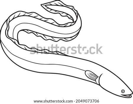 eel line vector illustration isolated on white background