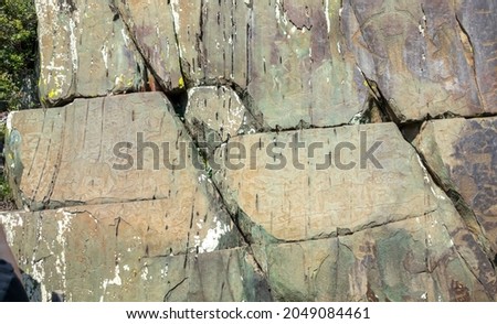 Petroglyphs (ancient rock carvings) in the Kalbak-Tash tract of the Ongudai region of the Altai Republic, Russia