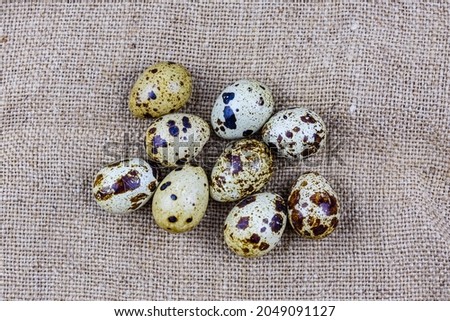 Spotted quail eggs on sackcloth. Healthy nutrition. Top view
