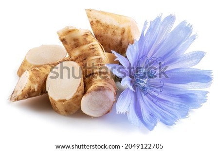 Chicory flowers and roots close up on the white background. Royalty-Free Stock Photo #2049122705