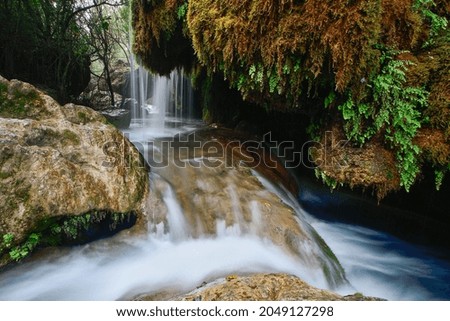 A waterfall in the forest
