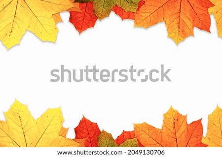 White background with banners of autumn leaves. Free space in the middle for text.