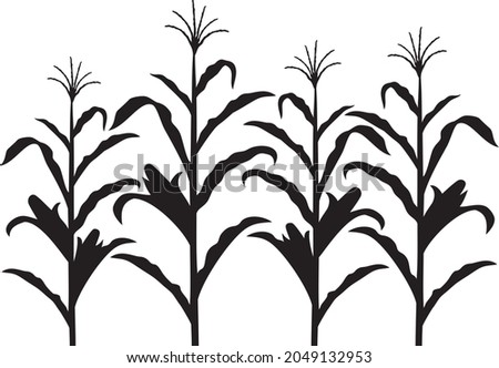 Corn stalk black and white vector design Royalty-Free Stock Photo #2049132953