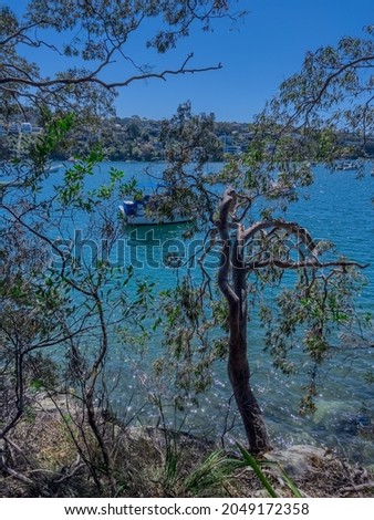beautiful turquoise and blue waters of Beauty Point  Mosman on a Spring morning with yachts and houses in background NSW Australia