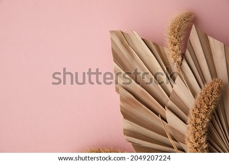 Dried tropical palm tree leaf and grass floral decoration on a pastel pink background
