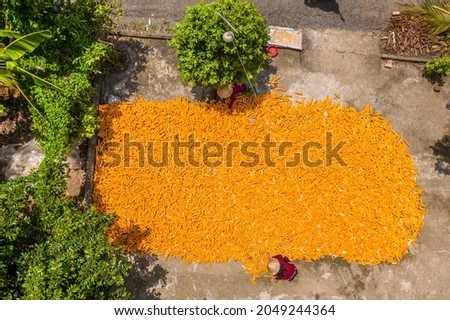 Drying corn in the sun