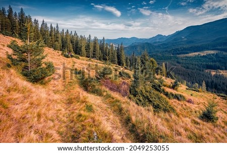 Colorful autumn view of Carpathian mountains. Amazing morning scene of mountain valley. Beauty of nature concept background.