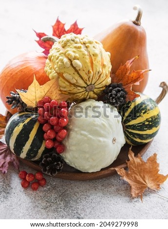 Fall composition with multi color pumpkins on rustic background