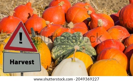 Sign Harvest in Front of Pumpkins