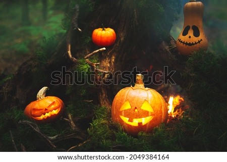 Family of pumpkins jack lantern in the autumn mystical forest. Humor. Halloween background. 