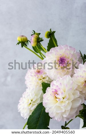 Beautiful autumn bouquet of spherical dahlias in a vase against a background of a gray wall