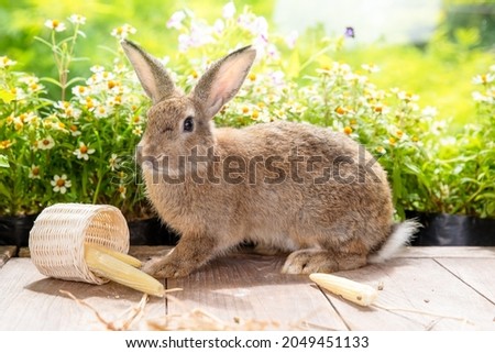 Healthy lovely bunny easter rabbit on green garden with beautiful flowers nature background on summer day. Cute fluffy rabbit sniffing with basket of corn and carrots. Symbol of easter day.