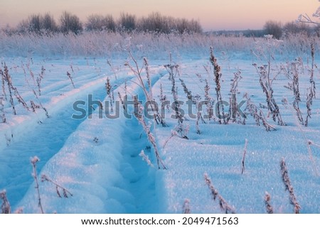 winter landscape, tire tracks on the snow, snow road. High quality photo