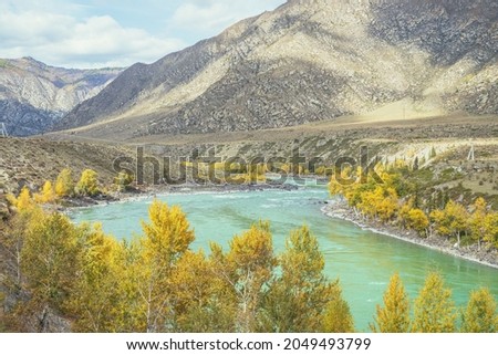 Colorful autumn landscape with golden leaves on trees along wide turquoise mountain river in sunshine. Bright alpine scenery with big mountain river and yellow trees in gold autumn colors in fall time